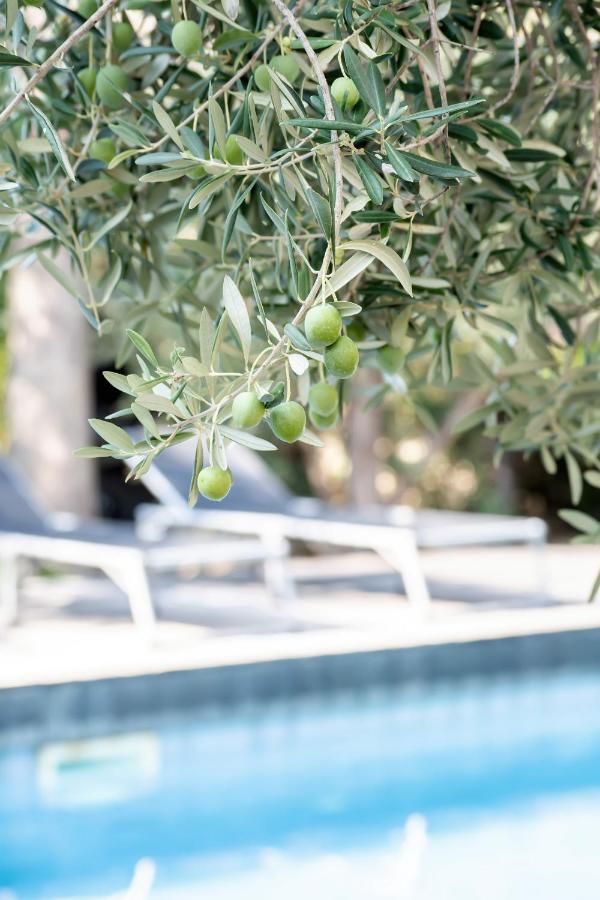 ויר Beach Boy & Pool Girl Apartments מראה חיצוני תמונה