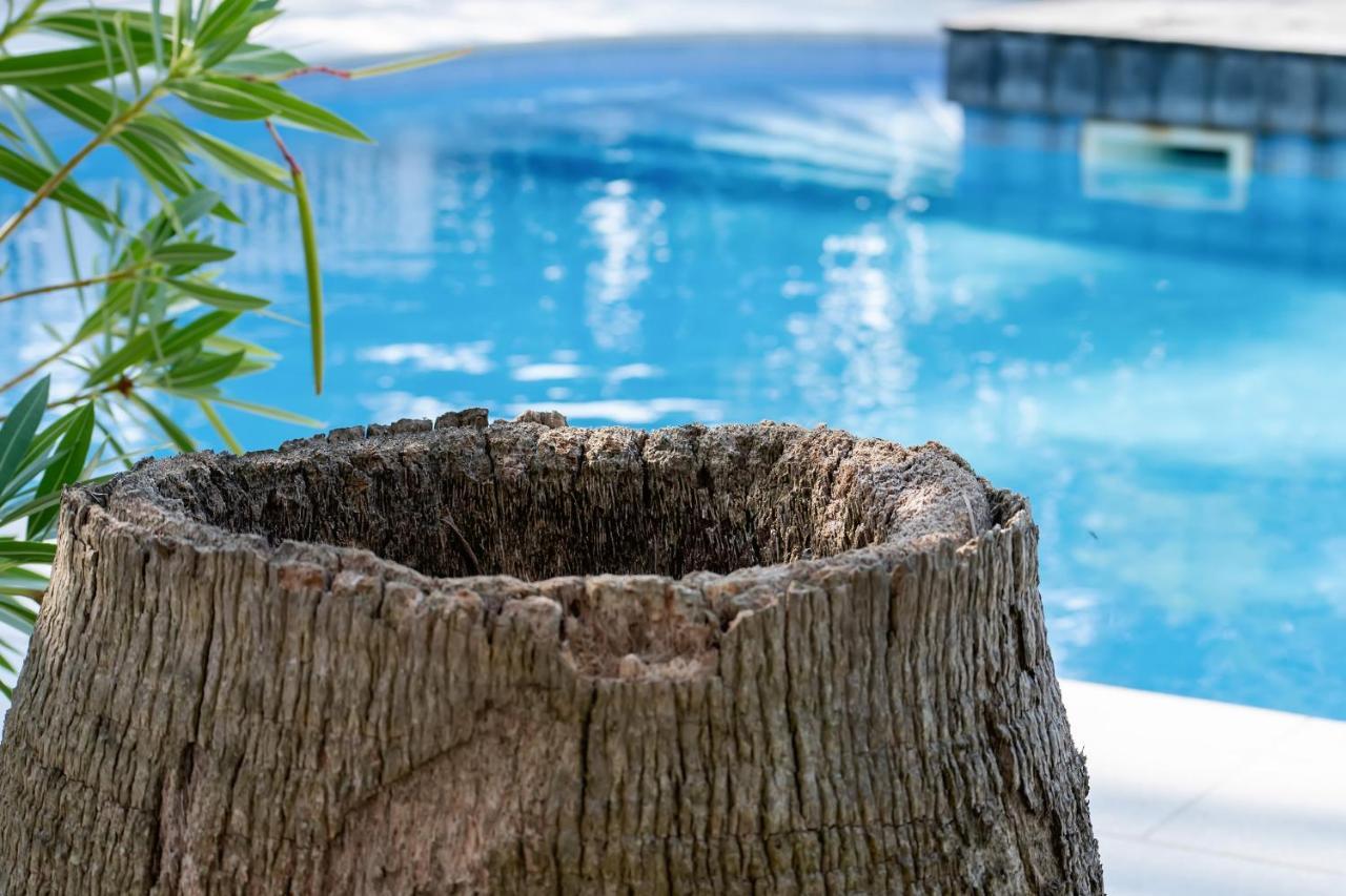 ויר Beach Boy & Pool Girl Apartments מראה חיצוני תמונה
