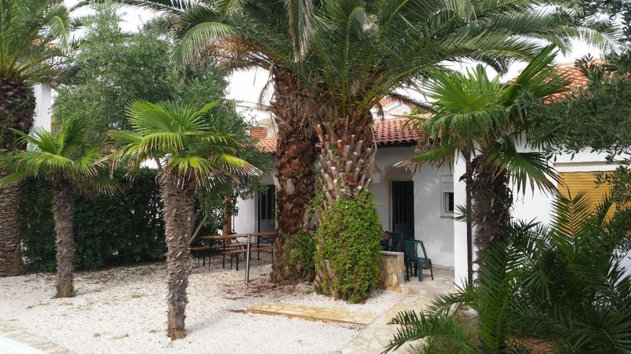 ויר Beach Boy & Pool Girl Apartments חדר תמונה